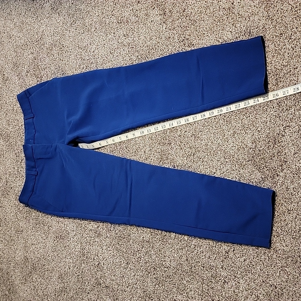 Express Columnist Pants